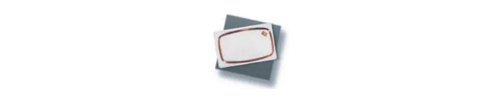 Tarjetas Plásticas RFID | Soluciones de Acceso Seguro
